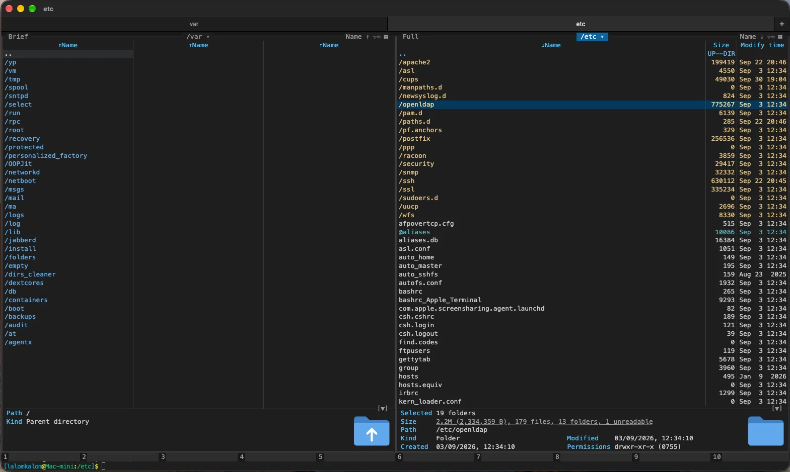 Two panels, the details block and your shell prompt