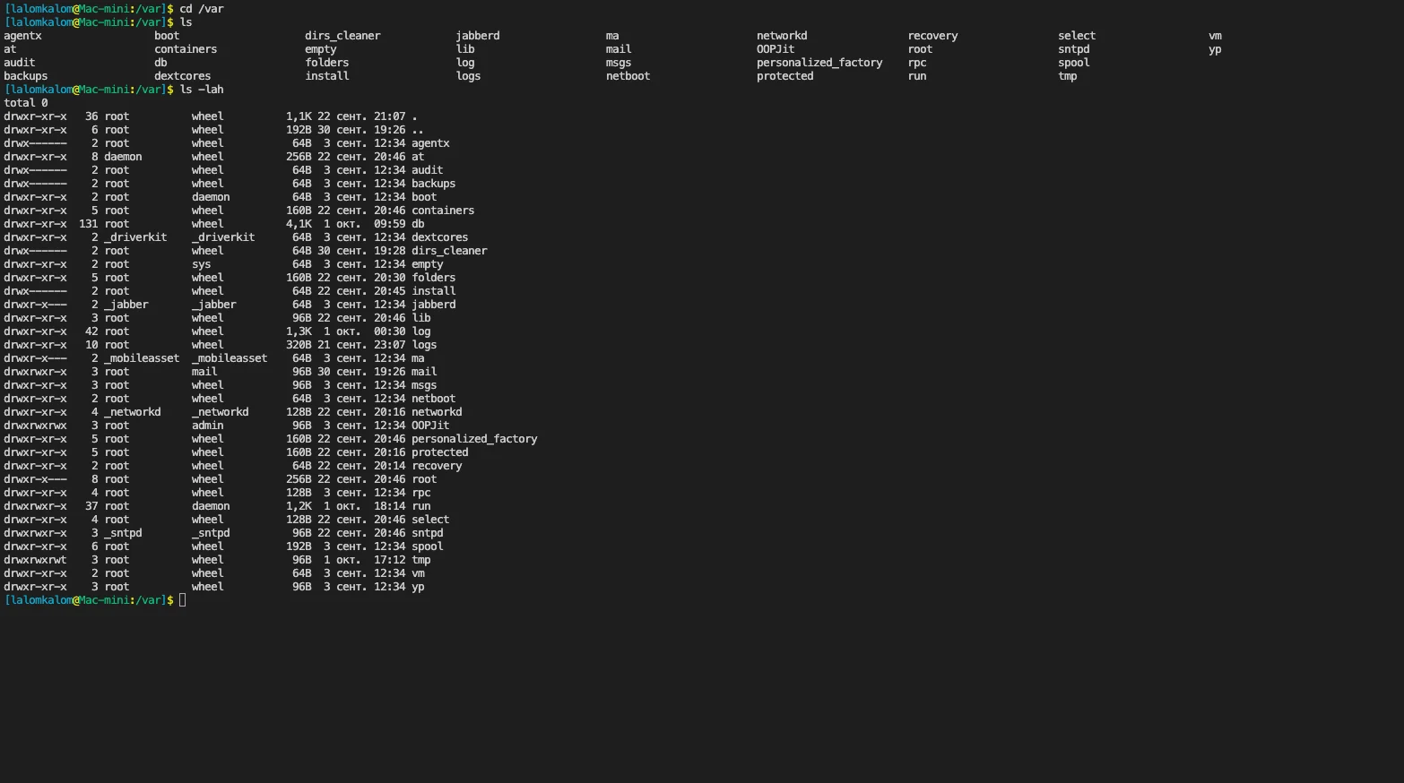 Ctrl+O hides the panels: your shell is right there